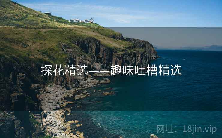 探花精选——趣味吐槽精选