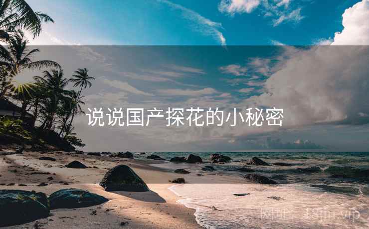 说说国产探花的小秘密
