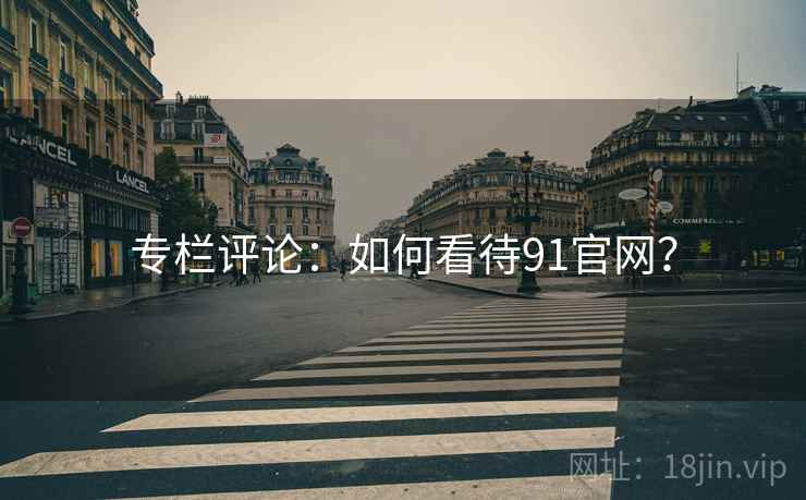 专栏评论：如何看待91官网？