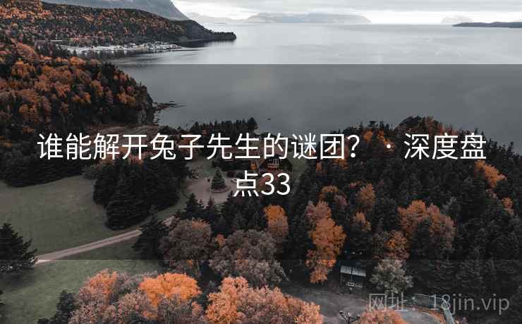 谁能解开兔子先生的谜团？ · 深度盘点33