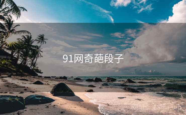 91网奇葩段子