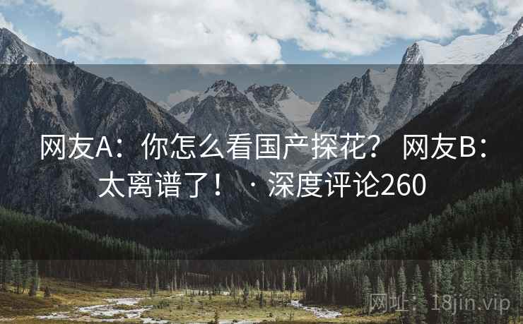 网友A：你怎么看国产探花？ 网友B：太离谱了！ · 深度评论260
