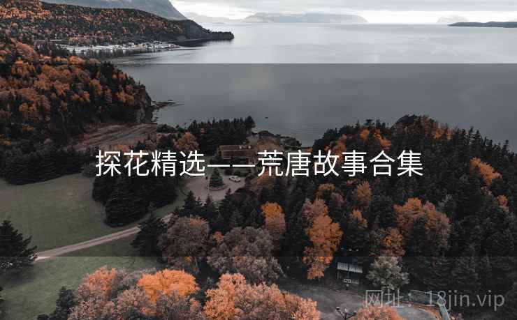 探花精选——荒唐故事合集